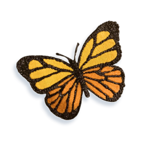 Butterfly Image